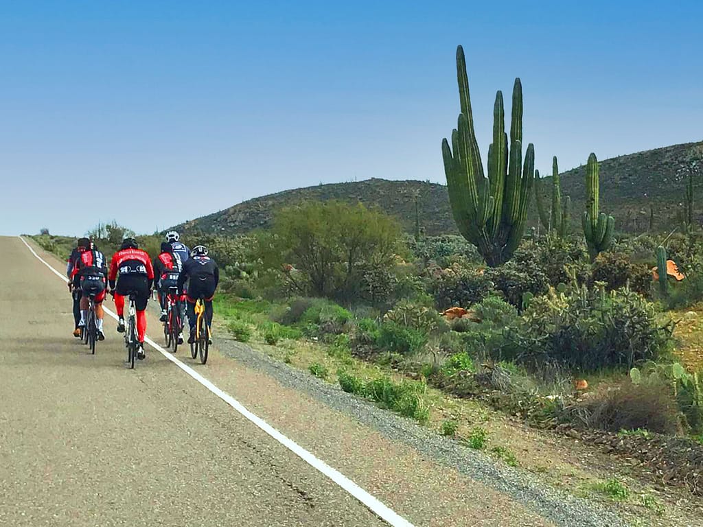 Cycling tour group in the Valley de los Cirios in Baja, California